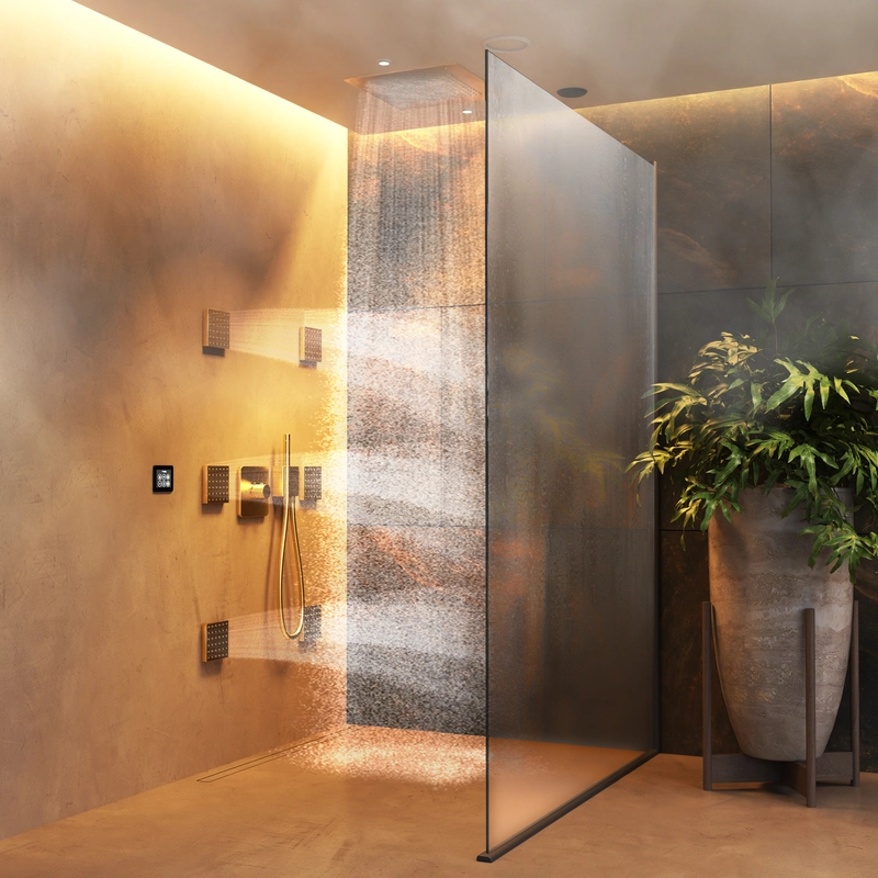 Wellness Shower | Basic 6