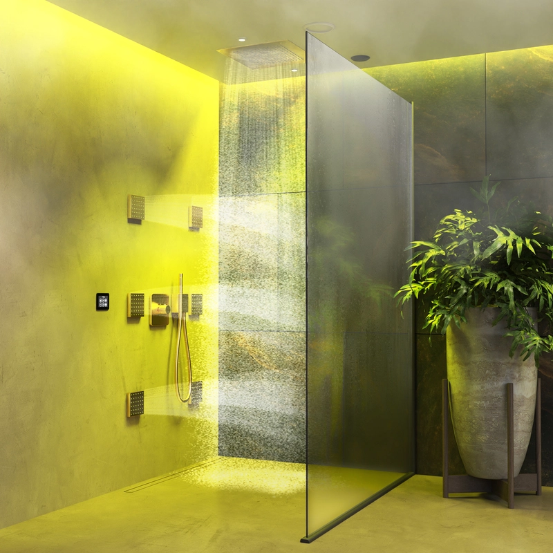 Wellness Shower | Basic 4